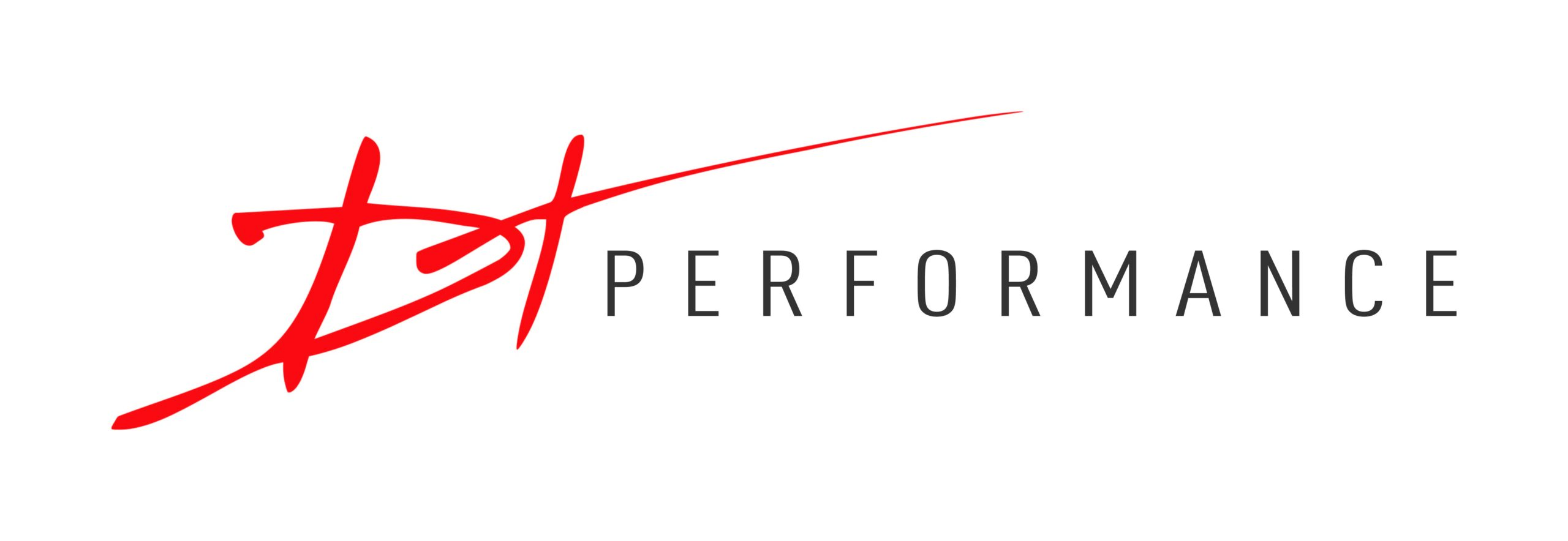 DT Performance Logo Development 1